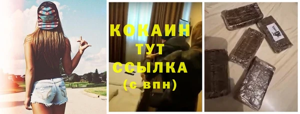 хмурый Богородицк