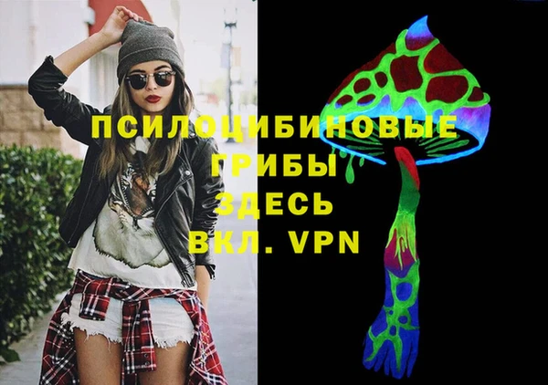 хмурый Богородицк