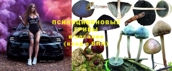 мет Богданович