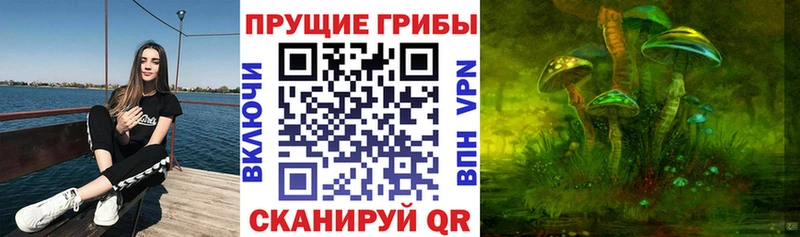ОМГ ОМГ зеркало  Кола  Галлюциногенные грибы мицелий 